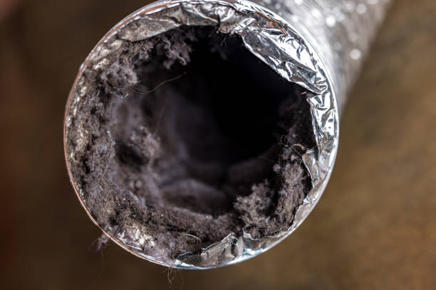 Best Dryer Vent Cleaning in Lomita, CA