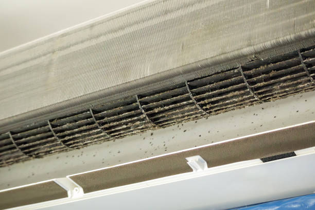 Best Air Filter Replacement Services in Lomita, CA